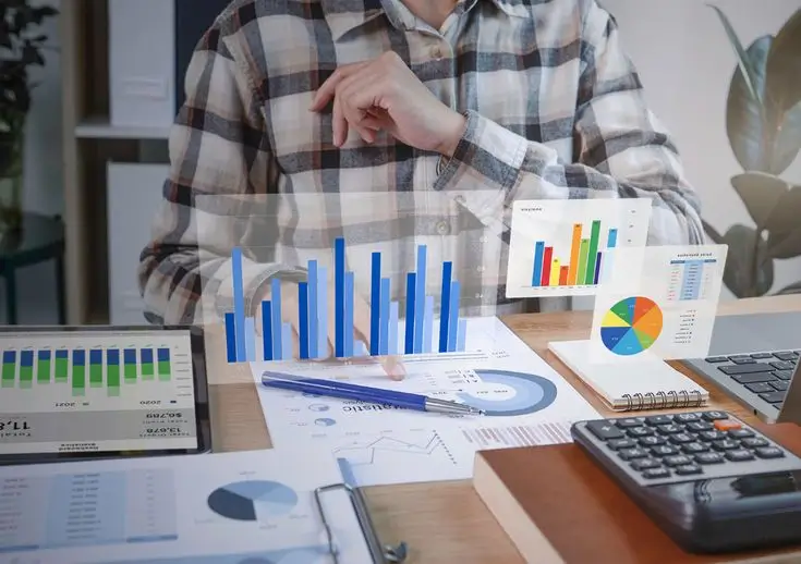 Business owner in accounting software training session with advisor