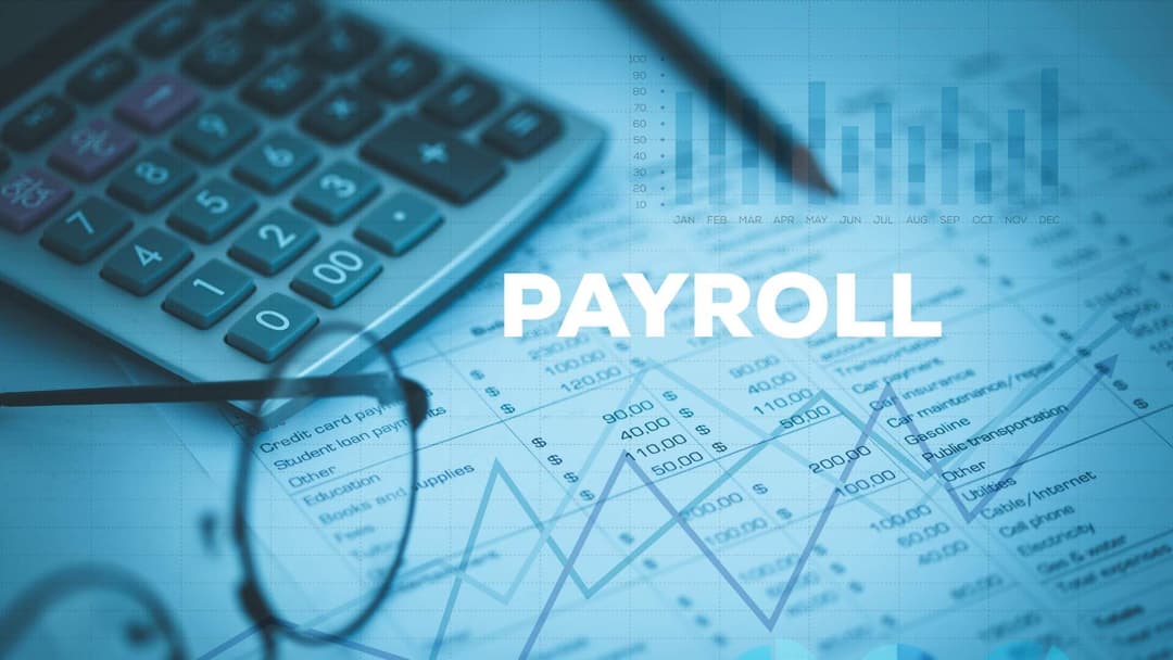 Payroll specialist reviewing payslips and HMRC submissions in Edinburgh